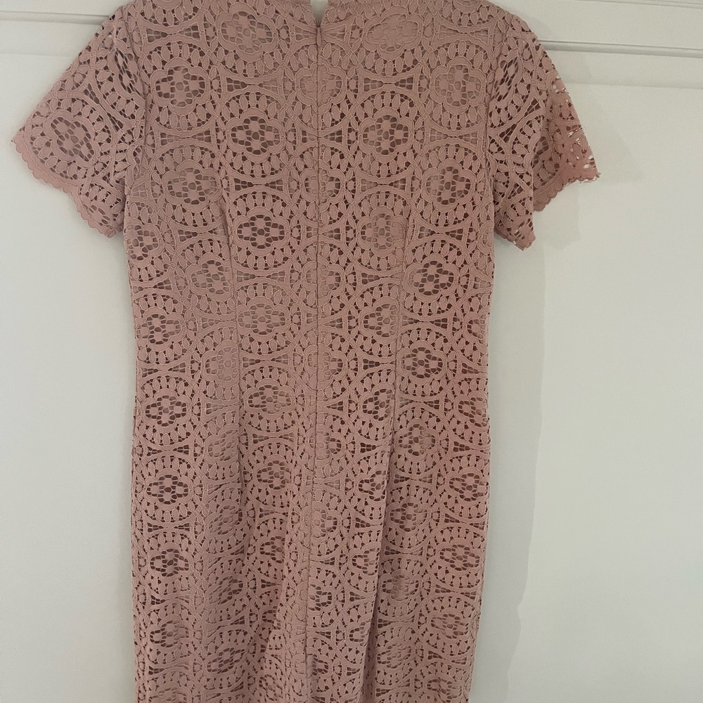 Ann Taylor Blush Lace Mini Dress - Picture 3 of 4